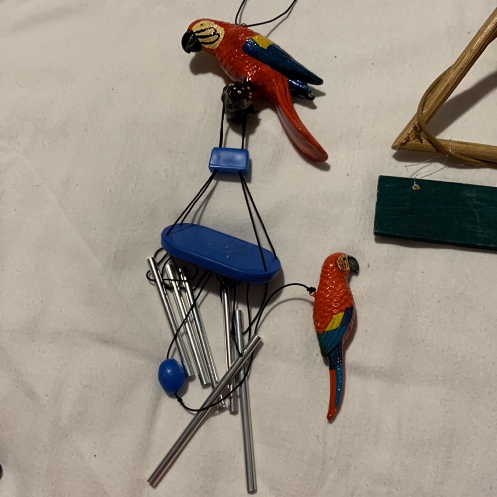 Parrots 🦜 - Picture 4 of 11